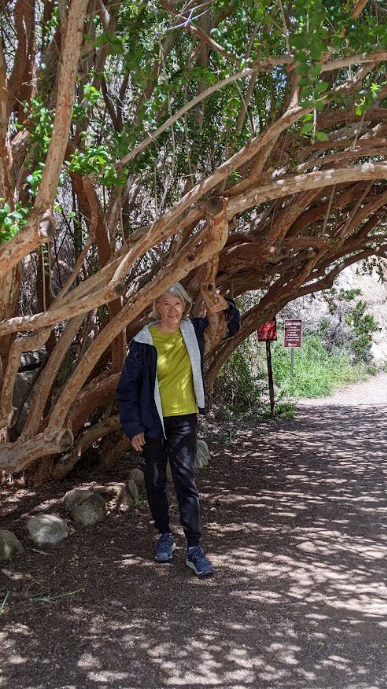Sheila E. Murphy standing beneath a low, spreading tree on a sunlit path